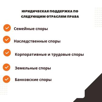 Адвокат по гражданским и уголовным делам.