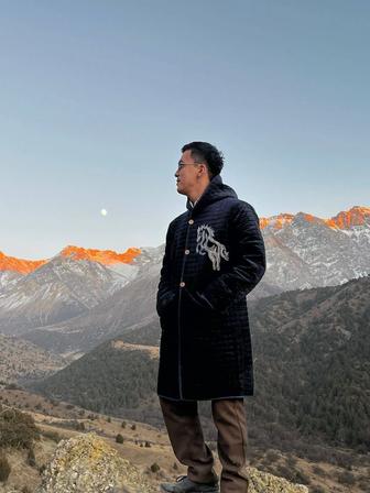 Трезвый вадитель