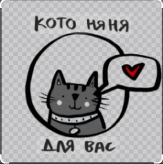 Няня для кота