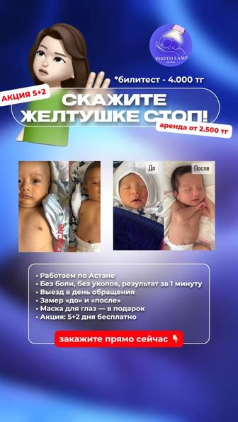 Аренда фотоламп