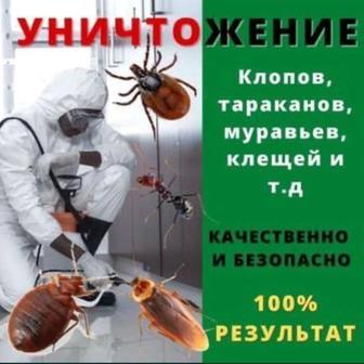 Дезинфекция дезинсекция