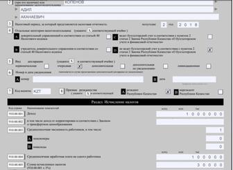 Налоговый Отчет