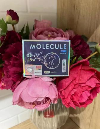 Молекула премиум оригинал