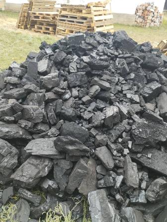 Уголь все сорта шубаркуль каражар майкуба