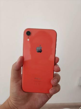 Iphone xr Astana