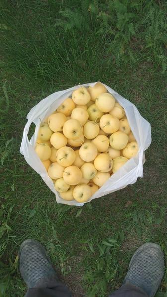 Ранетки крупные. 1 кг