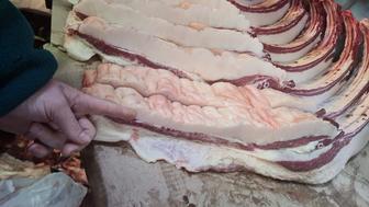 Согым конина