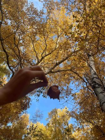 Ваш графический дизайнер