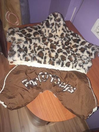 Одежда для чихуахуа или собаки мелкой породы