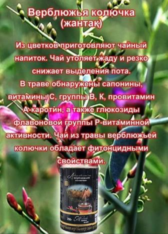 Верблюжая колючка чай/Жантақ чай/оздоровительный простатит аллергия