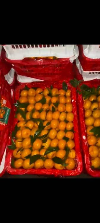 Фрукты оптом