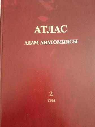 Книги Анатомия