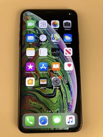 iPhone X 256Gb
