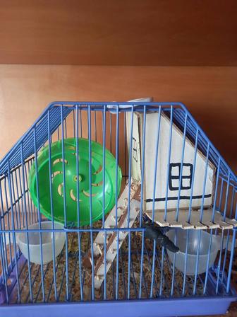 Продам клетку для хомяка