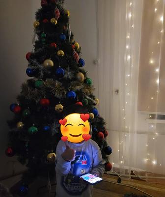 Ёлка, шырша сатылады