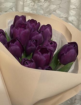 Продаю тюльпан 17шт