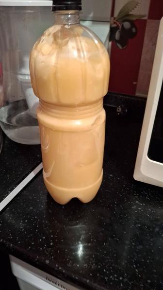 Продам мед катонский чистый
