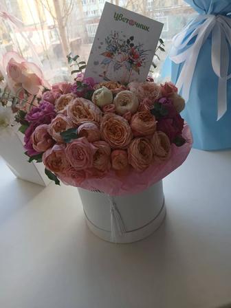 Продам цветы