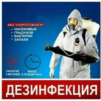 Дезинфекция/Дезинсекция/Дератизация