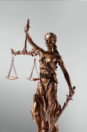 Адвокат. Профессионал.