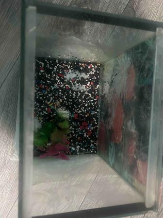 Продам аквариум