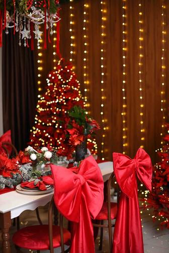 Фотограф (новогодняя фотосессия)