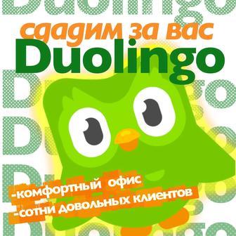 Поможем получить сертификат Duolingo с маленьким уровнем английского