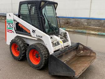 Аренда бобката