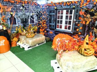 Графический дизайнер.