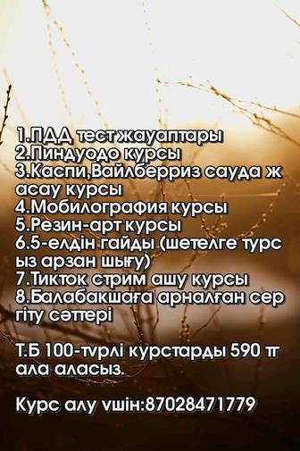 Курс 100-түрлі курс тиімді бағада