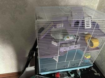 Клетка хомяка