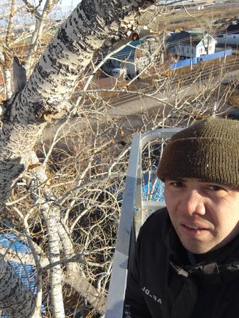 Уборка территорий и дачи кронирование подрезка спил деревьев и кустов