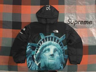 Куртка Supreme TNF
