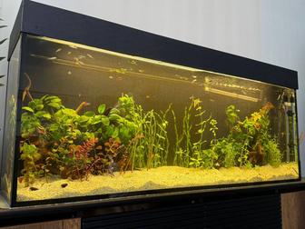 Обслуживание аквариумов.