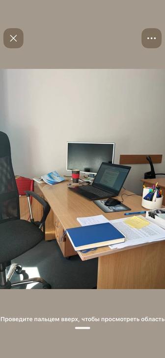 Сдача отчетности по ИП и ТОО