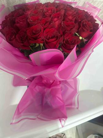 Роза 70см красный 51 штук