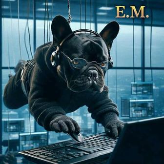 Услуги бизнес-консультанта.