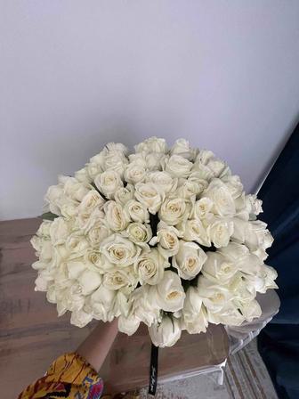 Цветы 101 роза