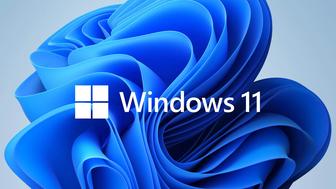 Windows 10/11 (home/pro)