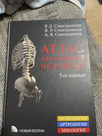 Атлас анатомии человека