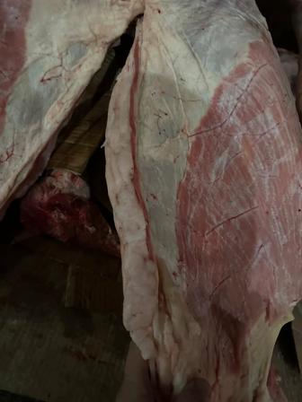 Жылқы еті сатылады