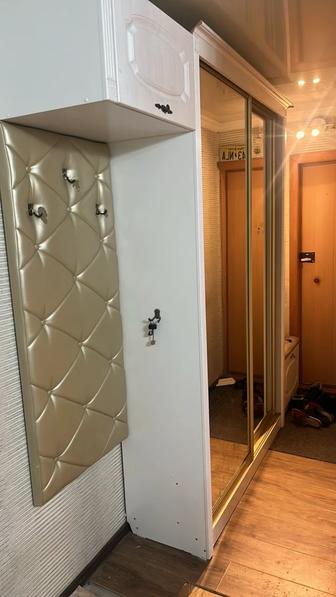 Шкаф купе в прихожую