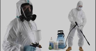 Дезинфекция. Уничтожение клопов, тараканов, мышей и крыс.