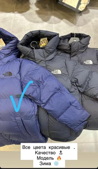Пуховик The North Face синий