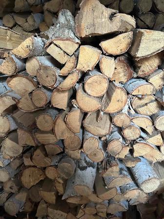 Дрова березы