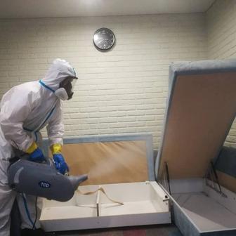 Удаление запахов сигареты /животные /сырость