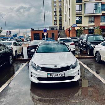 Аренда авто(optima)