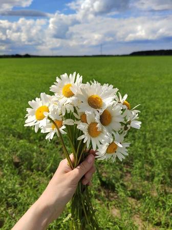 Онлайн Психолог Надежда Федорова