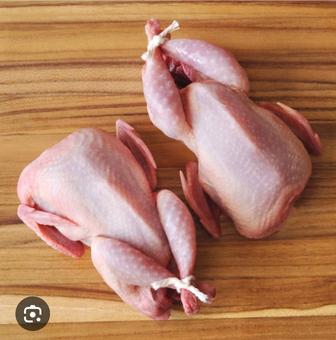 Бөдене жұмыртқасы еті. Перепелиные мясо яйцо Астана Қараөткел