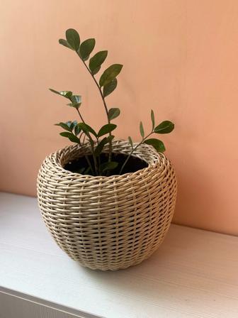 Кашпо из ротанга